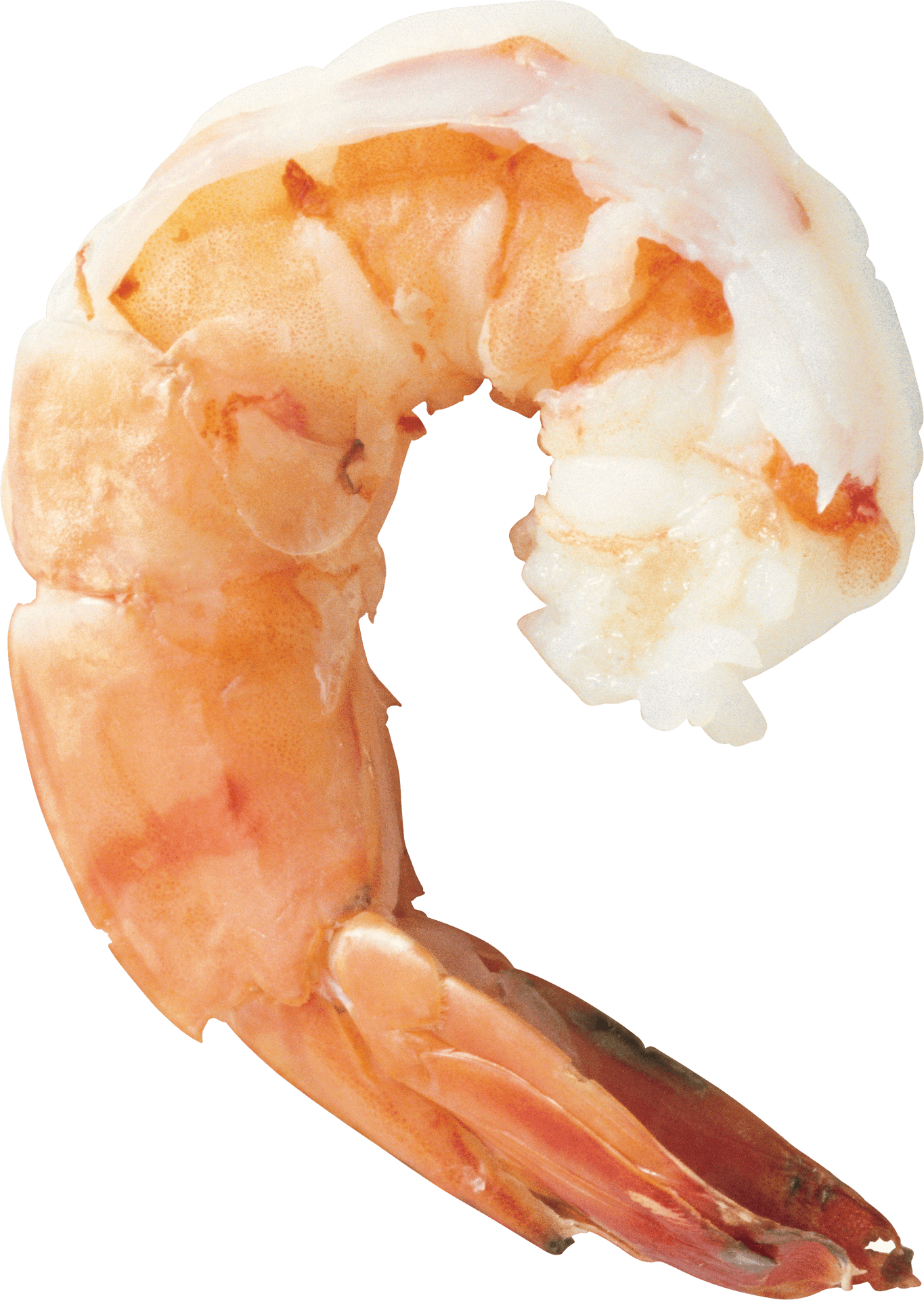 Cooked Shrimp Transparent Background PNG Image