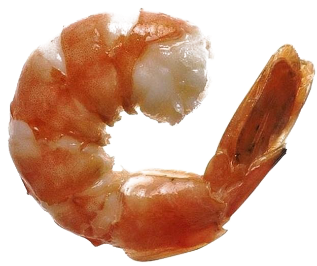 Cooked Shrimp Transparent Background PNG Image