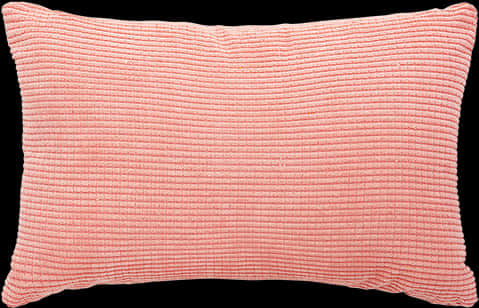 Coral Textured Decorative Pillow PNG Image