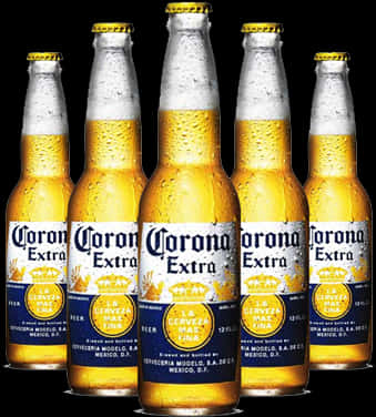 Corona Extra Beer Bottles PNG Image