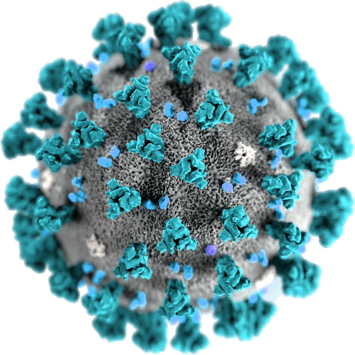 Coronavirus Closeup3 D Rendering PNG Image