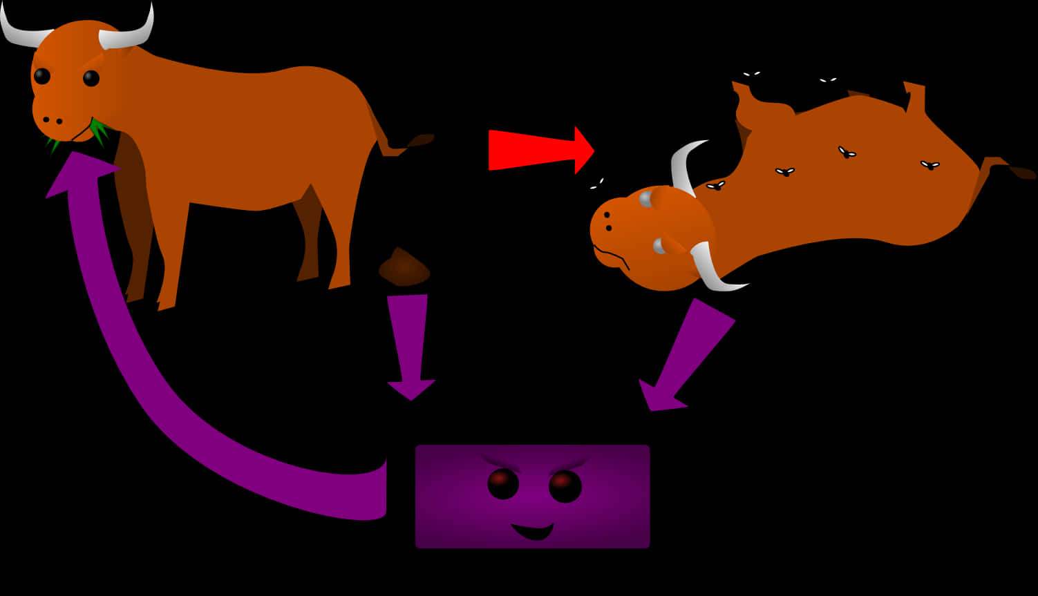 Cow Digestion Process Illustration PNG Image