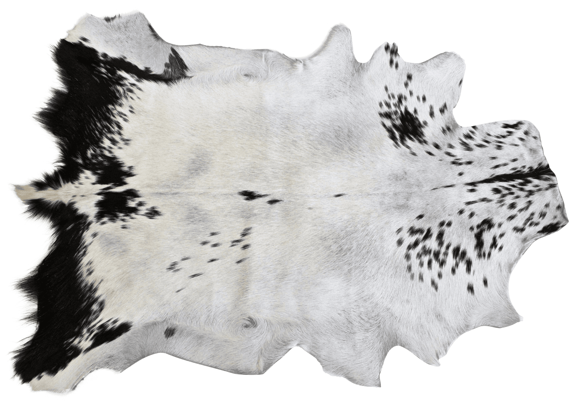 Cowhide Rug Texture PNG Image