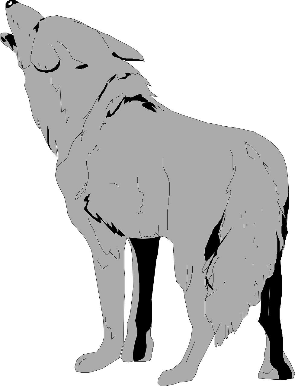 Coyote Silhouette Art PNG Image