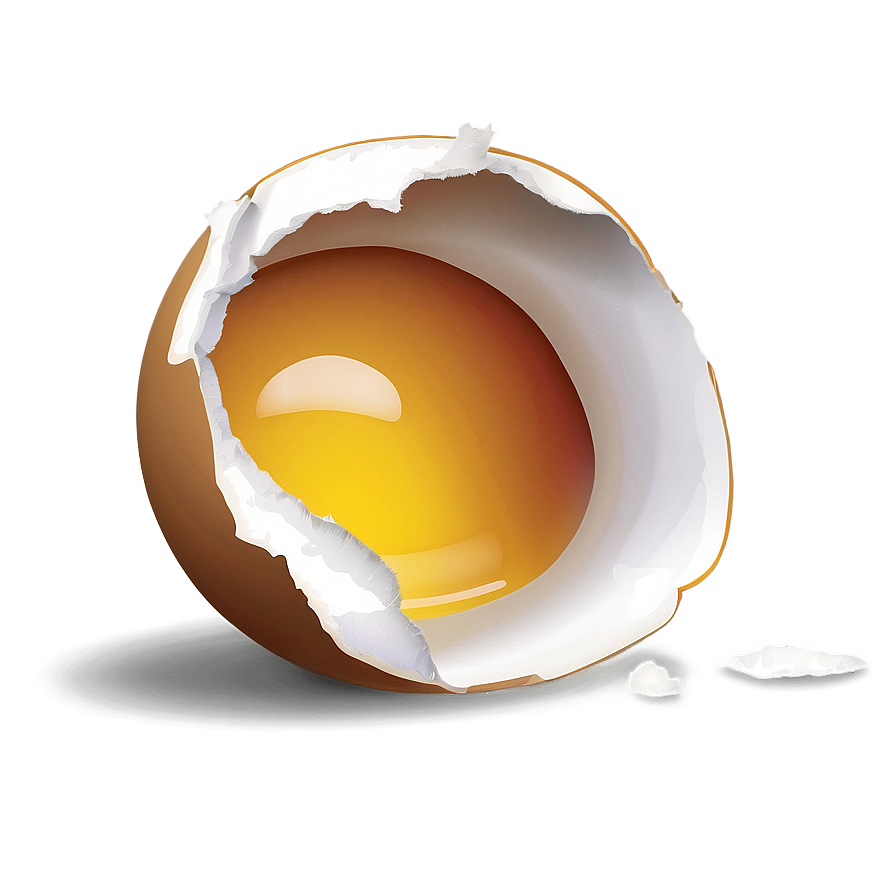 Cracked Eggshell Illustration Png Olm PNG Image