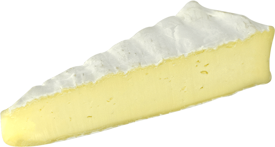 Creamy Cheesecake Slice Isolated PNG Image