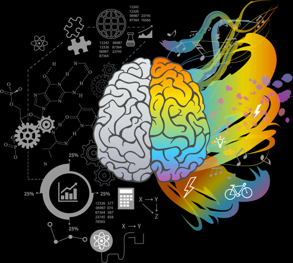 Creative Brain Illustration PNG Image