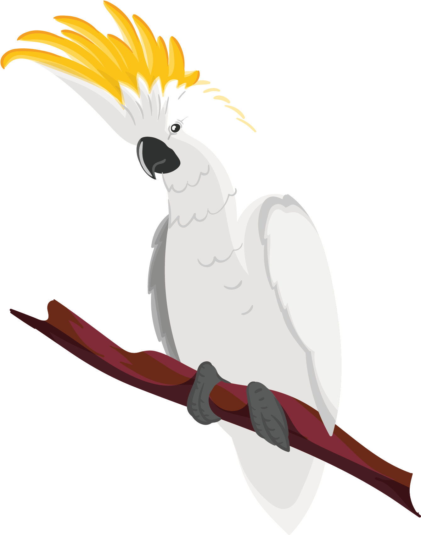 Crested Cockatoo Illustration PNG Image