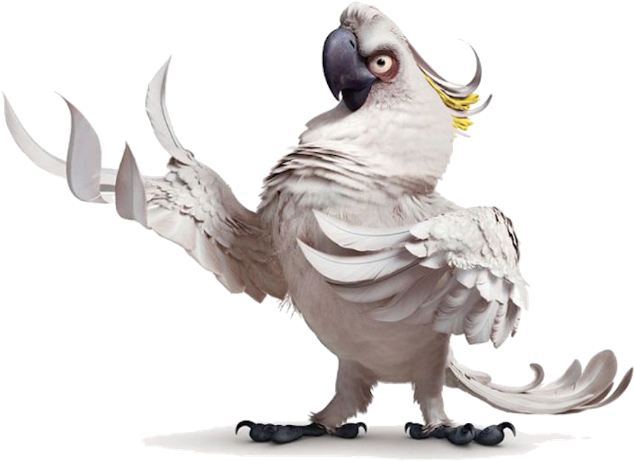 Crested Cockatoo Pose PNG Image