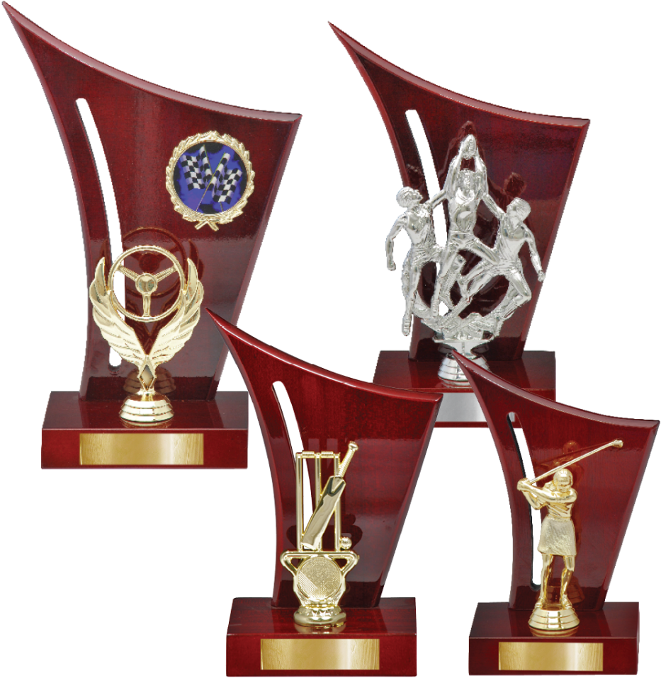 Cricket Trophies Collection PNG Image