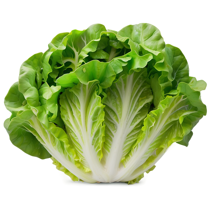 Crinkly Lettuce Png Oib43 PNG Image