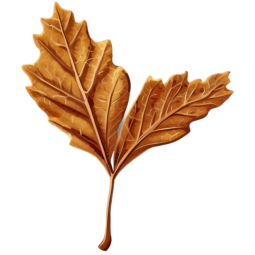 Crisp Brown Fall Leaf Png Tts PNG Image