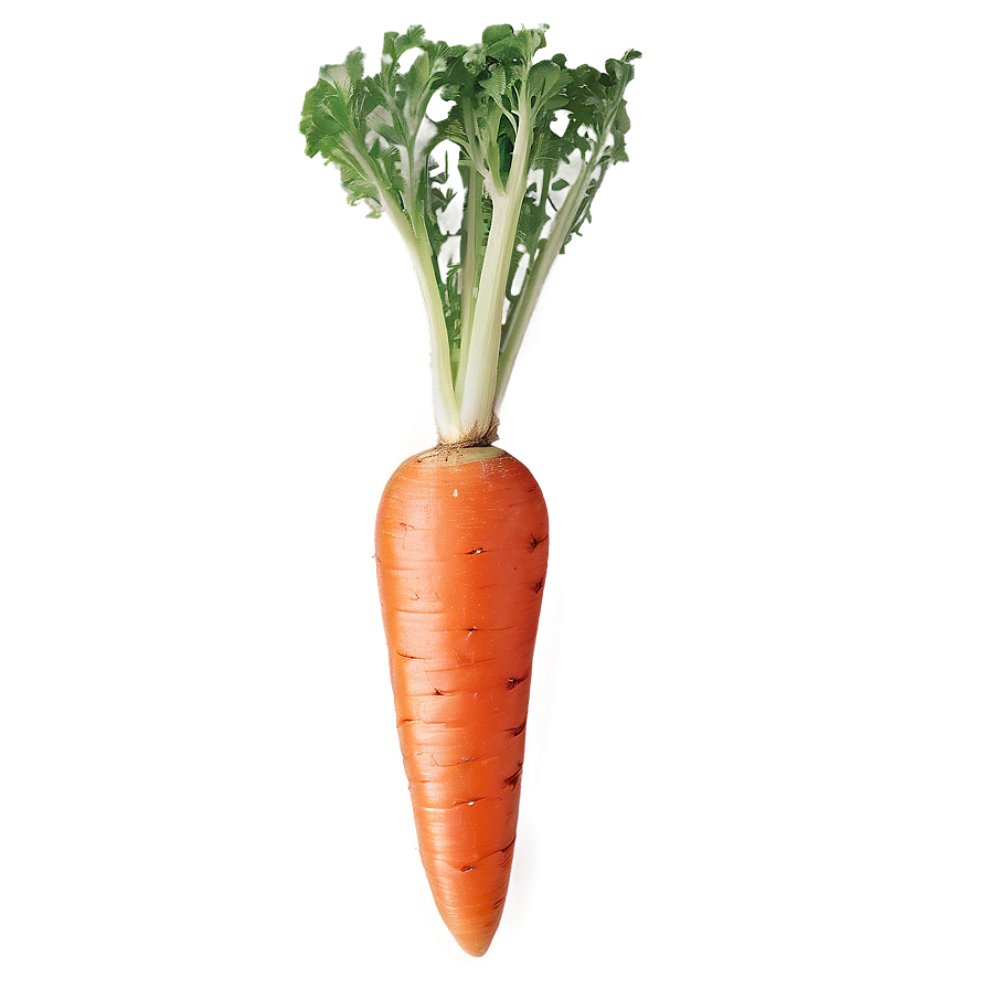 Crisp Carrot Png Jsl PNG Image