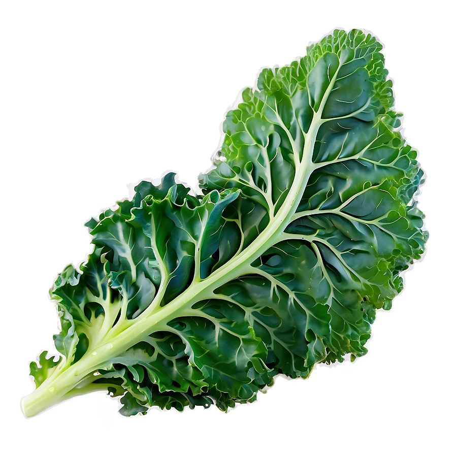 Crispy Kale Png Lyk PNG Image