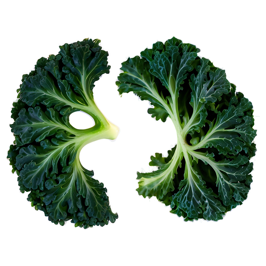 Crispy Kale Png Nma60 PNG Image