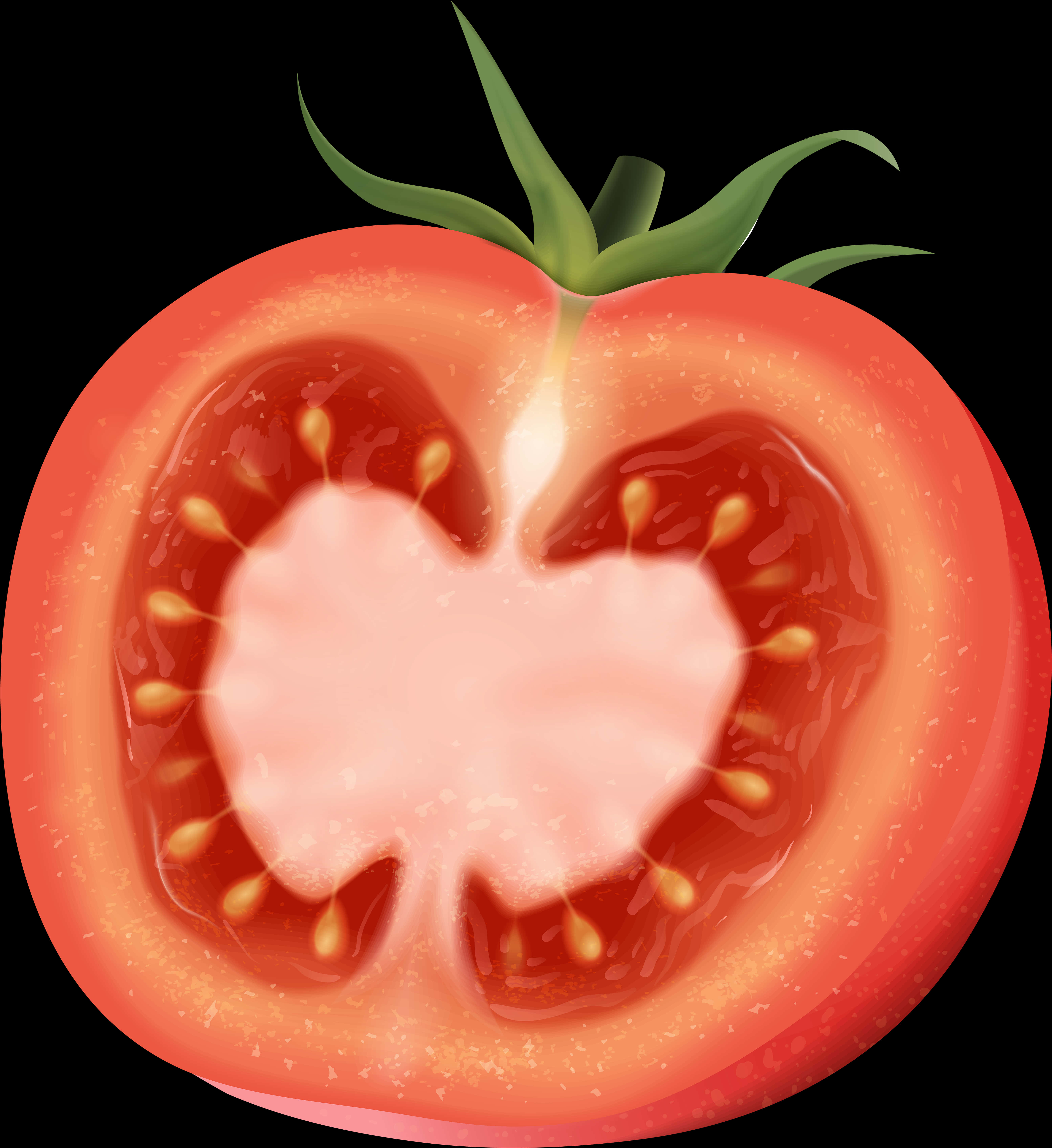 Cross Sectionofa Tomato PNG Image