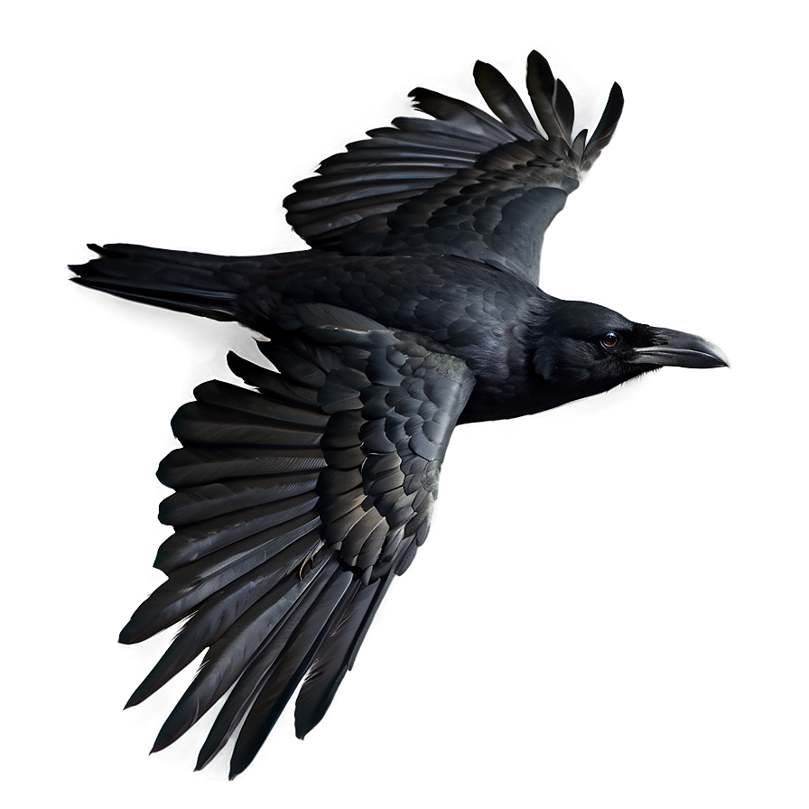 Crow In Flight Png 05232024 PNG Image