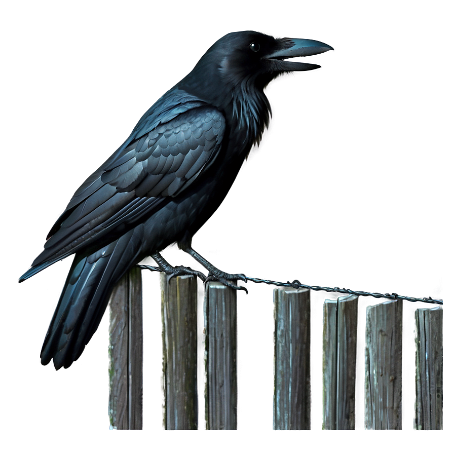 Crow On Fence Png 56 PNG Image