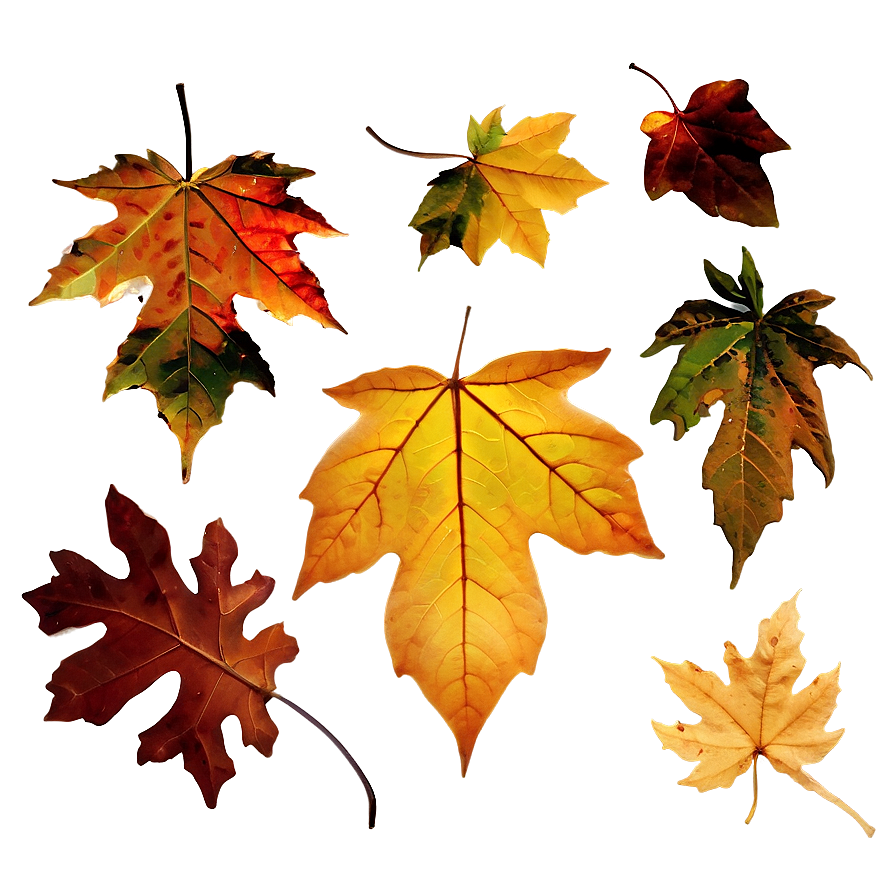 Crumbling Leaves Fall Png Djn PNG Image