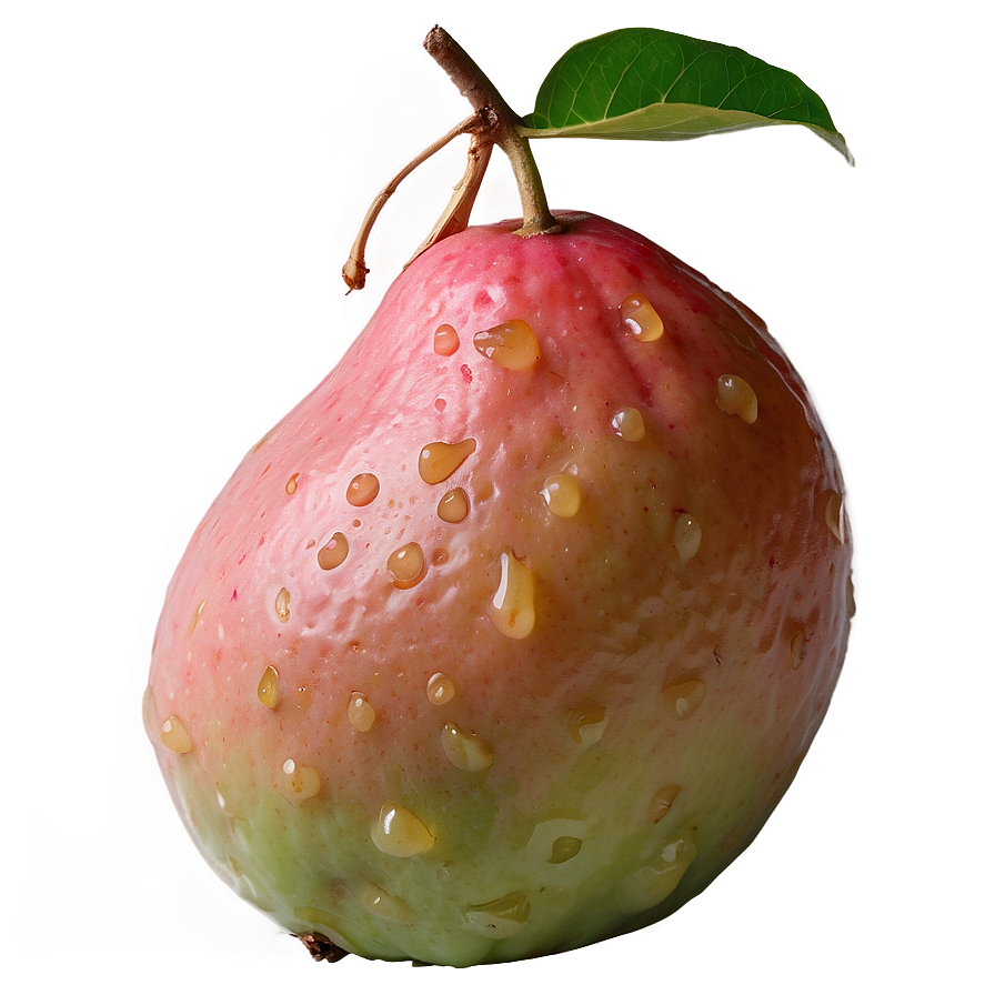 Crunchy Guava Png 10 PNG Image