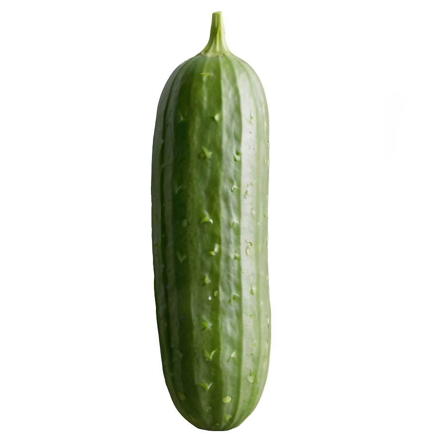 Cucumber On Vine Png 7 PNG Image