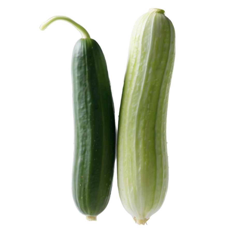 Cucumber Seedling Png Jhy PNG Image