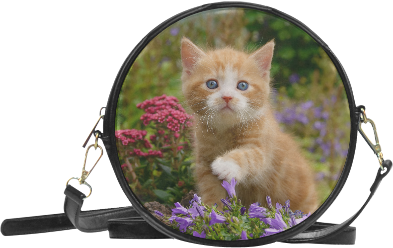 Curious Kitten Magnified Garden View PNG Image