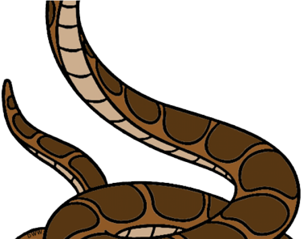 Curled_ Brown_ Snake_ Illustration PNG Image