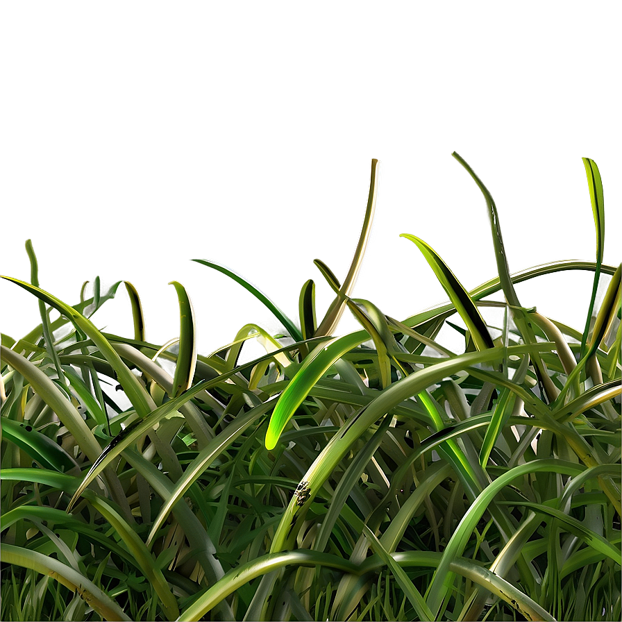 Curly Grass Texture Png Jhf PNG Image