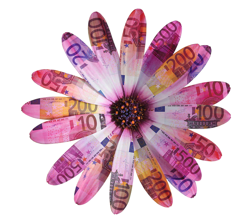 Currency Flower Creation PNG Image