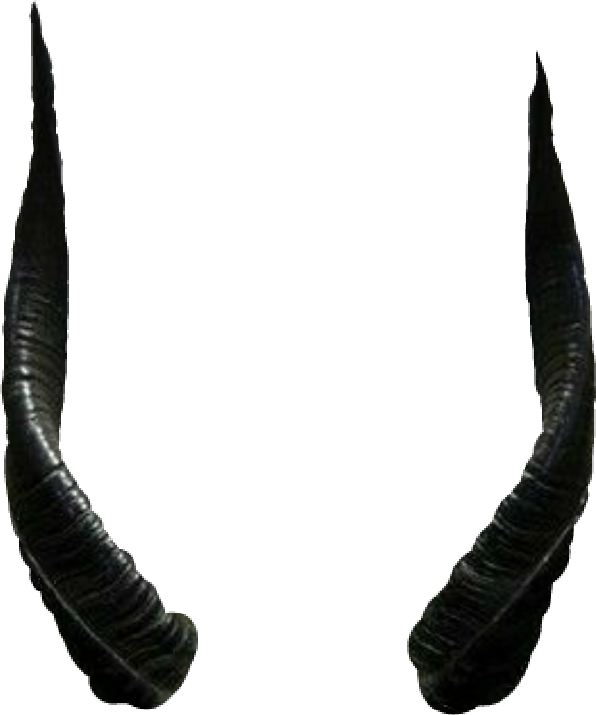 Curved Black Horns PNG Image