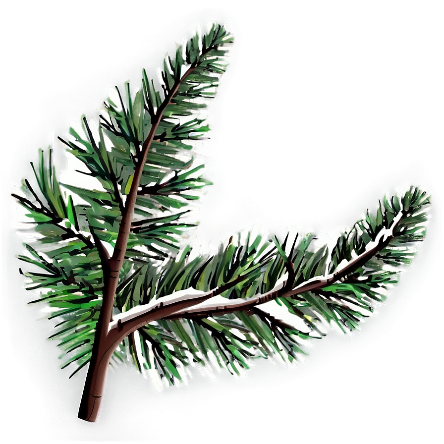 Curved Tree Branch Png 05252024 PNG Image