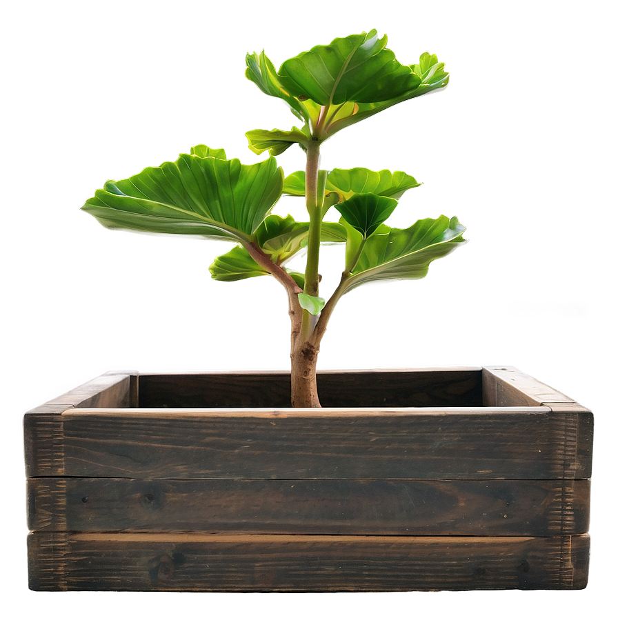 Custom Planter Box Png 06282024 PNG Image