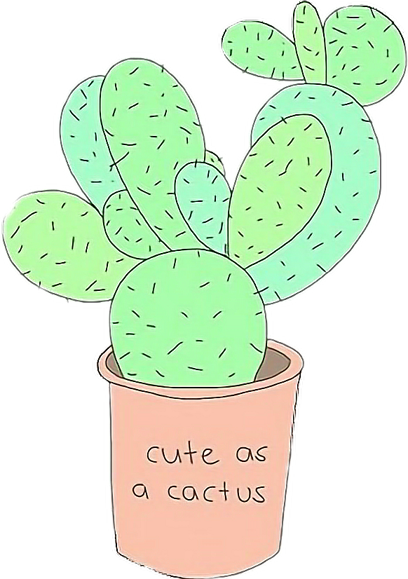 Cute Cactus Tumblr Drawing PNG Image