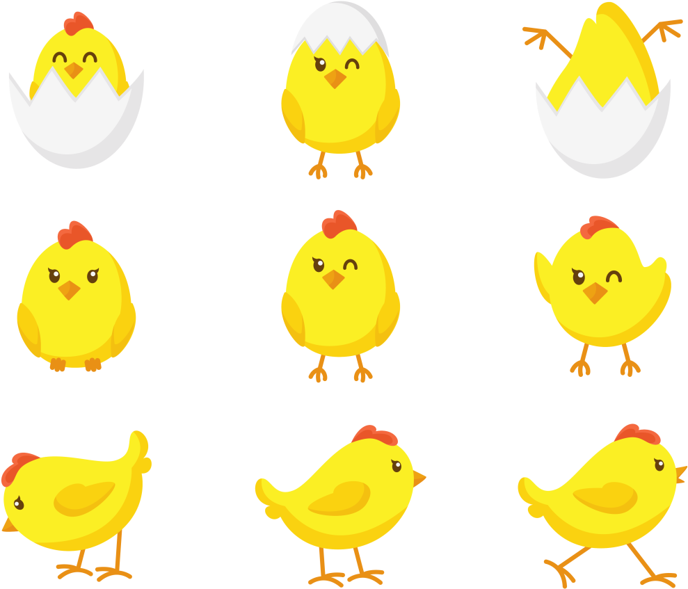 Cute Cartoon Chicks Collection PNG Image