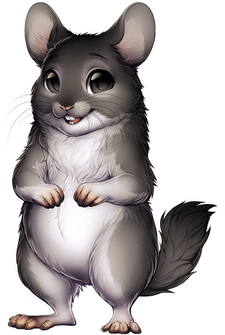 Cute Cartoon Chinchilla.png PNG Image