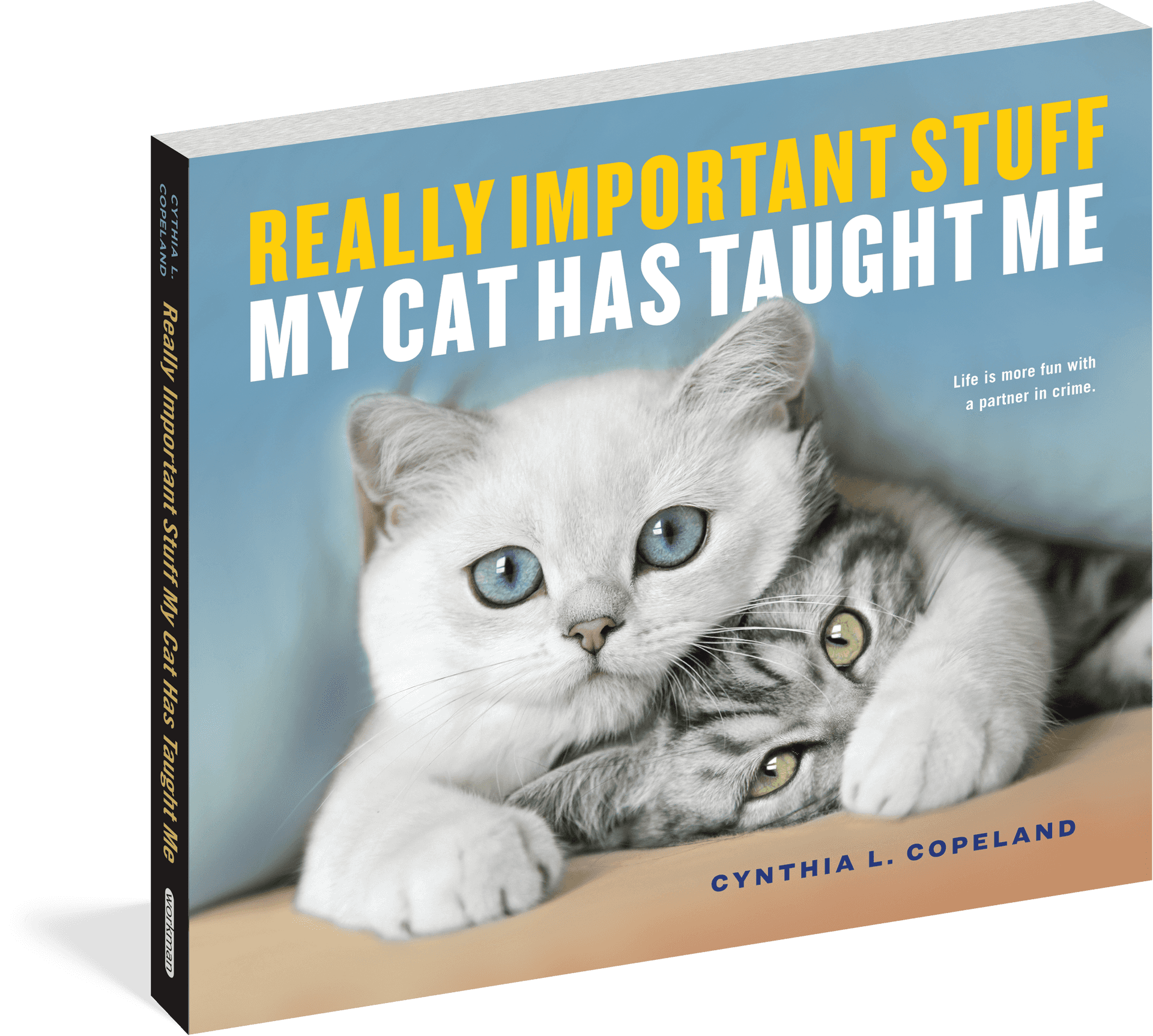 Cute Cats Book Cover PNG Image