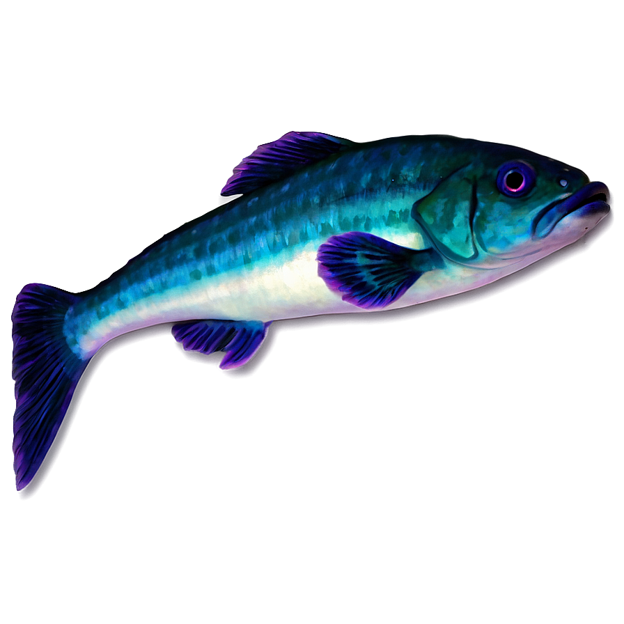 Cute Fish C PNG Image