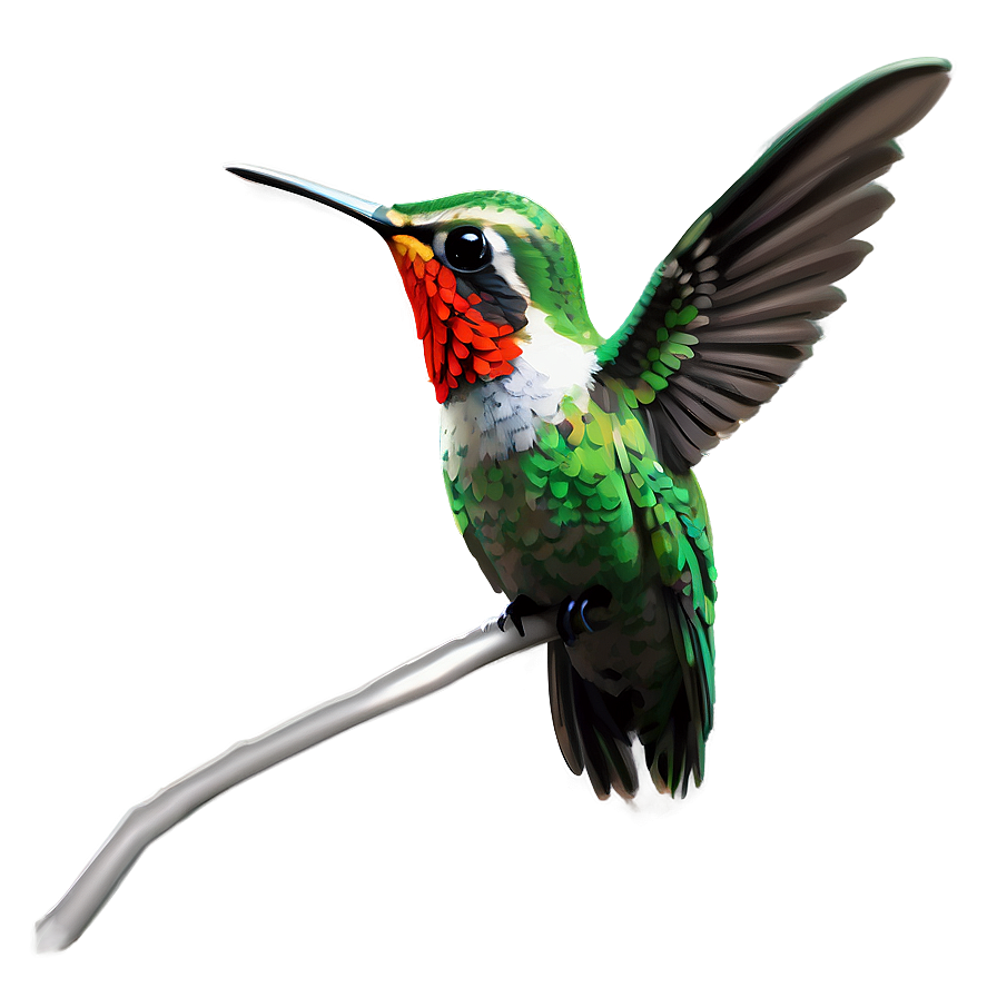 Cute Hummingbird Png Xtk25 PNG Image