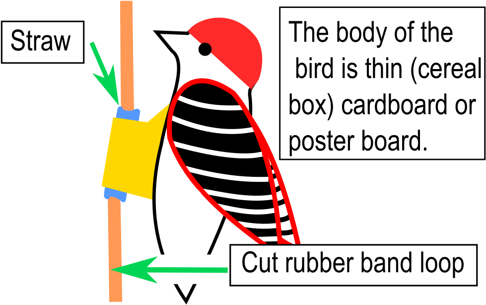 D I Y Woodpecker Craft Illustration PNG Image