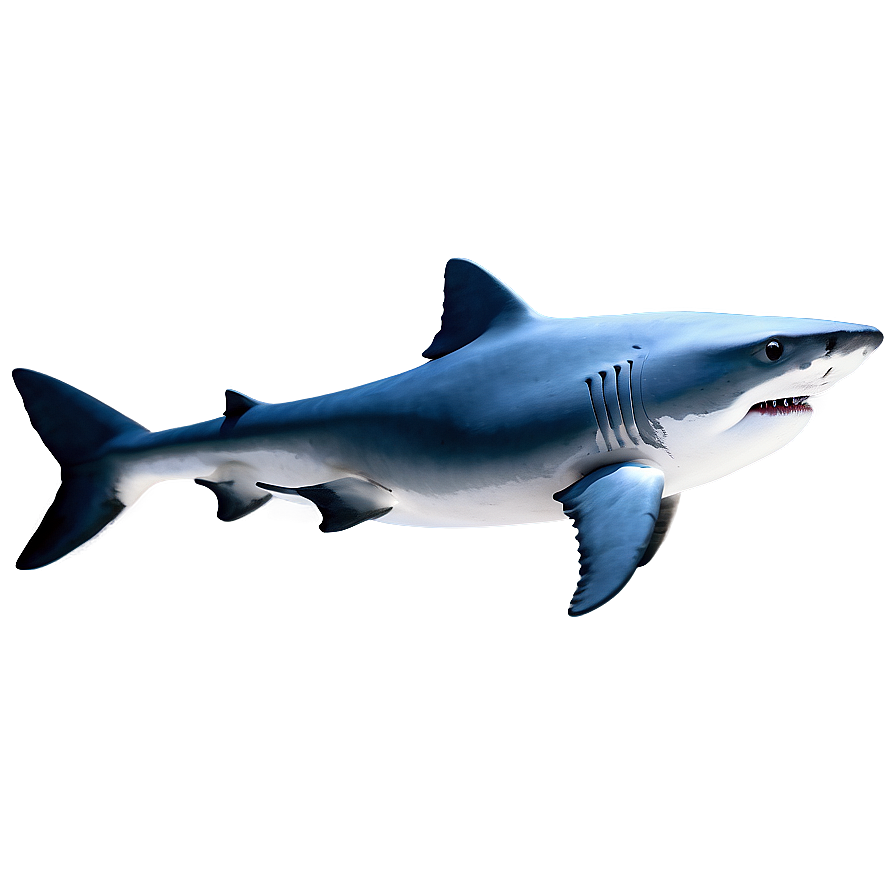 Daddy Shark Blue Png Ynh79 PNG Image