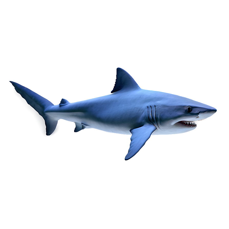 Daddy Shark Fun Png Qgu PNG Image