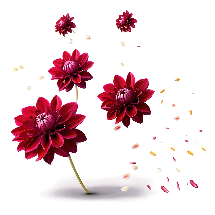 Dahlia Petals Falling Png 70 PNG Image