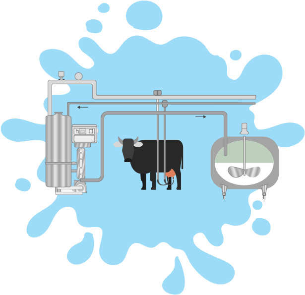 Dairy Cow Milking Process Illustration PNG Image