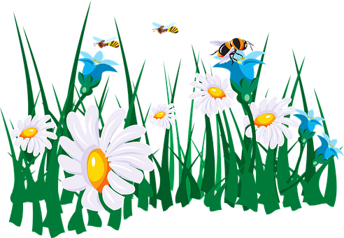 Daisies_and_ Bees_ Vector_ Illustration PNG Image