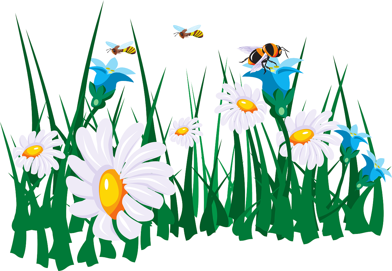 Daisiesand Bees Garden Illustration PNG Image