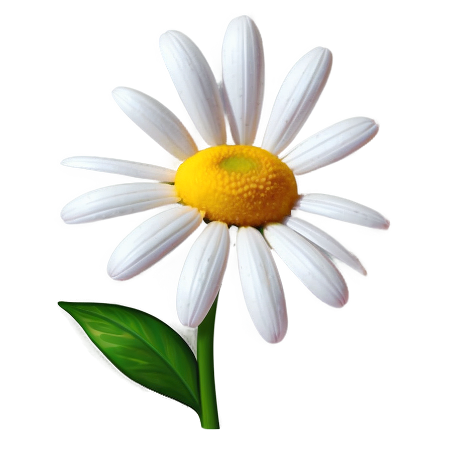 Daisy Artwork Png Lve PNG Image