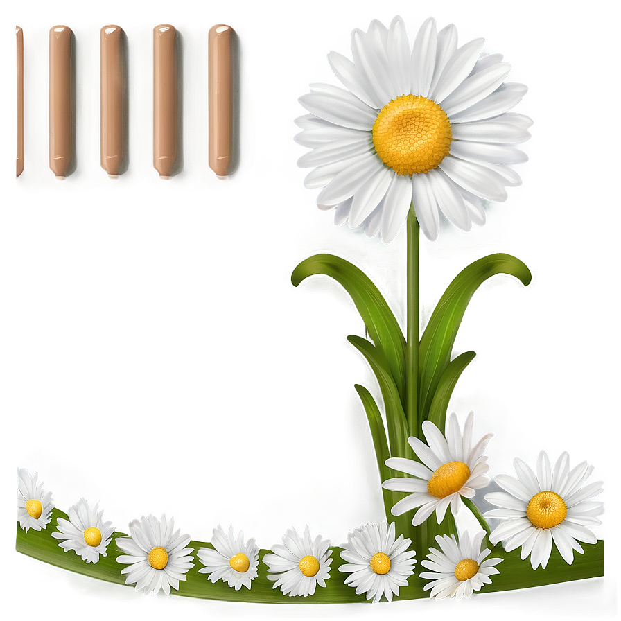 Daisy Border Png 42 PNG Image