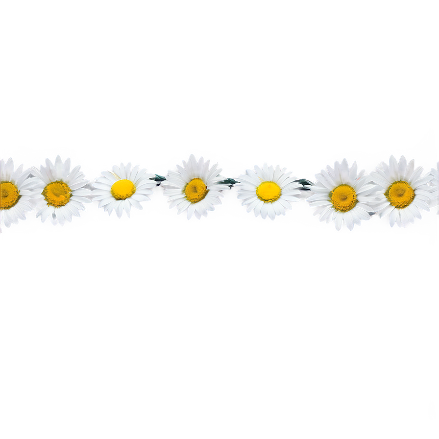 Daisy Chain Png 05212024 PNG Image