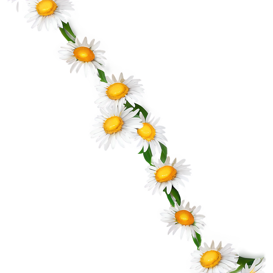 Daisy Chain Png Ufd PNG Image